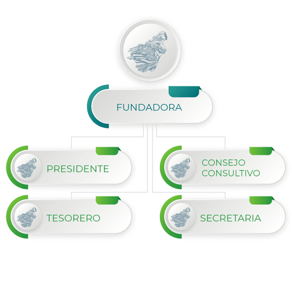 Directorio